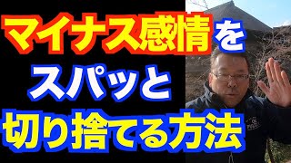 感情と思考を切り離して一瞬で冷静になる超カンタンな方法【精神科医・樺沢紫苑】