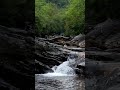 Caesar Creek Bigfoot! #storytime #shorts #shortvideo #short #subscribe #bigfoot #cryptids