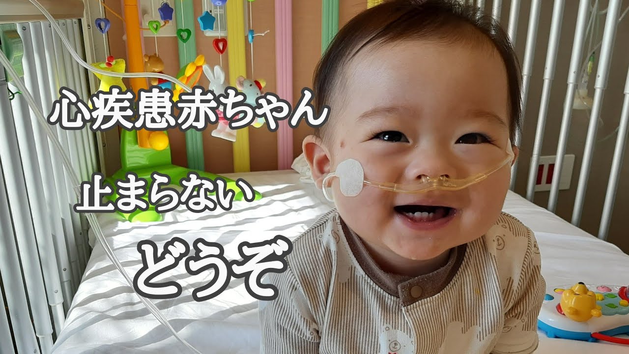 先天性心疾患1歳の成長/ずっとくれる…