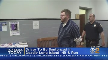 Driver Faces Sentencing In Deadly Hit-And-Run