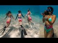 Diving with too many mermaids in hawaii shangerdanger shorts compilation