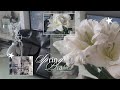 .☘︎˖𐙚₊˚Spring Diaries! | vlog no.17 decorating a new bag, buying lilies, mini 10k celebration!