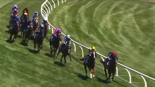 Single Choice Wins The 2026 Autumn Classic G2