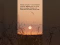 Афоризмы о жизни, одиночестве и свободе | Короткие философские размышления | Alex Lindenberg