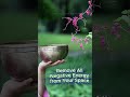Remove All Negative Energy from Your Space  #singingbowl #soundhealing #DeepRelaxation  #432hz