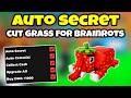 *NEW* Cut Grass for Brainrots Script (PASTEBIN 2026) (AUTO SECRET, NO GRASS, COLL CASH)