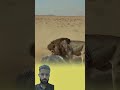 أحيانا يضعنا الله في مواقف صعبة لنكتشف أن قوته فوق كل ذي قوة وأن تدبيره يفوق  