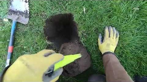 CURB STRIP CHAOS!! Episode 26. Simplex+ park mode THRIVES with a super fast swing speed.