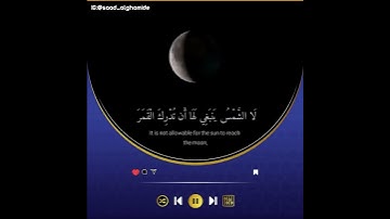 الشيخ سعد الغامدي سورة يس🌺