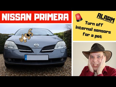 Nissan Primera P12: Car Alarm (How To Switch Off Internal Sensors For A Pet)