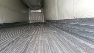 Trailer update Wall tucked in by HT logistics3434 1,678 views 1 year ago 4 minutes, 22 seconds