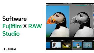 Fujifilm X RAW Studio - El poderoso software para procesar tus archivos RAW screenshot 5