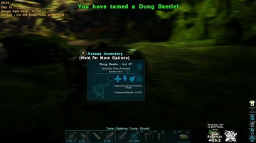 taming a dung beetle on Ark survival Lost island
