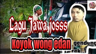 koyo wong edan  lagu jawa jos