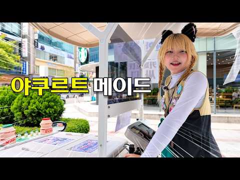 대전명물 야쿠르트 메이드 만났습니다