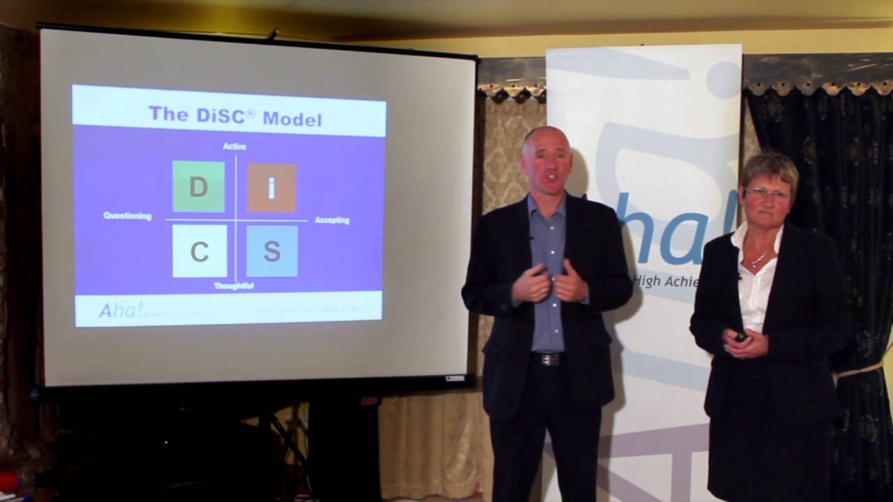 The main DiSC Styles Inscape DiSC YouTube