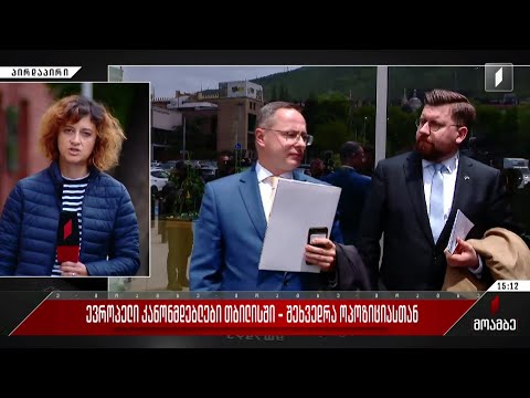 ევროპელი კანონმდებლები თბილისში - შეხვედრა ოპოზიციასთან