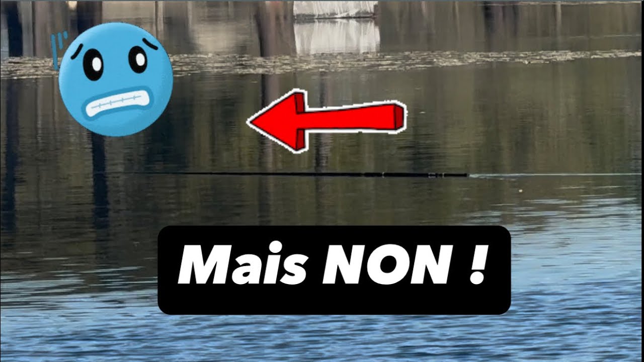 On se fait VOLER la CANNE par un POISSON et la SUITE va VRAIMENT vous ÉTONNER !! #pêche