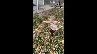 Little Girl Puts A Stick In Her Mouth And Follows Her Dog Around, Copying Him