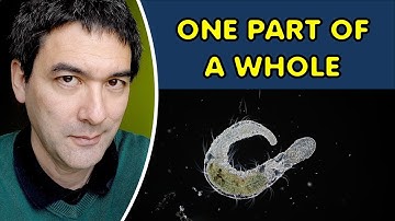 The Worm That Refuses to Stay One