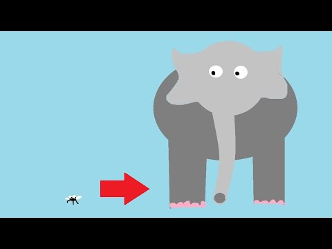 Das Mücken Elefanten Lied (Kinderlied) - Van Tute