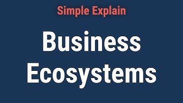What Is a Business Ecosystem?
