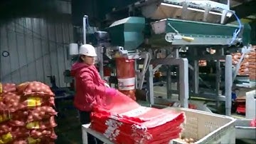 PIM MHW10 combination weigher and 2x SAS M-1 semiautomatic baggers including carton filling