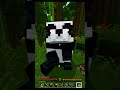 Feeding a cute panda! 🐼🎋 #MinecraftASMR #Shorts #수면용 #睡眠用