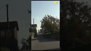 Anziano truffato: vendono casa sua per un terzo del valore! #shorts