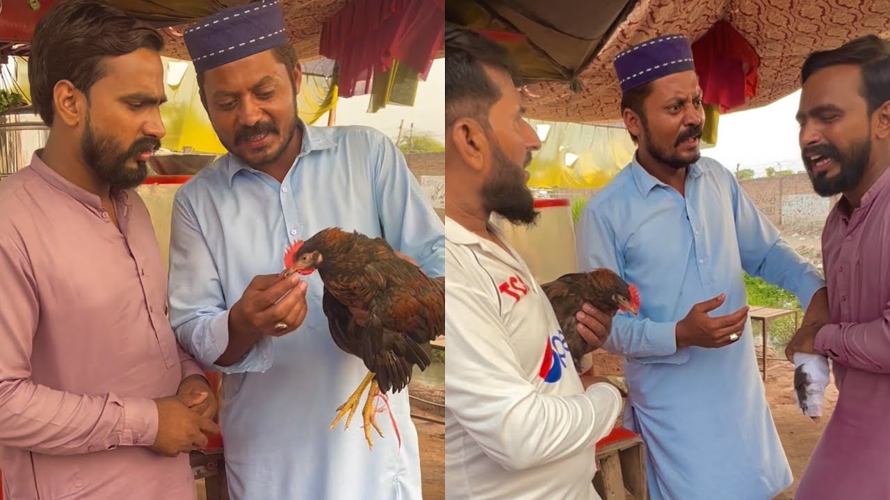 تانو استاد جی مرغے دی پئی ہوئی ے میری چٹی لڑی نکل گئی ہے 😄🤣