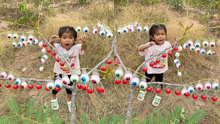 Survival Skills Simple And Useful In Forest