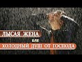 ЛЫСАЯ ЖЕНА, или ХОЛОДНЫЙ ДУШ от ГОСПОДА | Максим Крупский | Христианские проповеди АСД | Проповеди