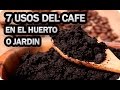7 Usos Del Cafe En El Huerto O Jardin || La Huertina De Toni