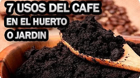 Para que serve a borra do pó de café?