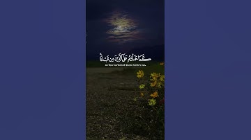 📖 خاتمة سورة البقرة بصوت عبدالعزيز سحيم… خشوع يلمس القلوب #quran