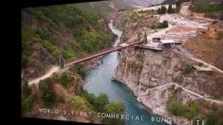 Physics Bungee Jumping