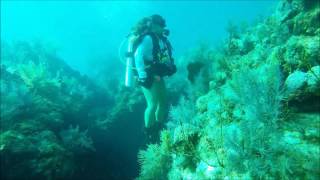 Rainbow Reef Key Largo