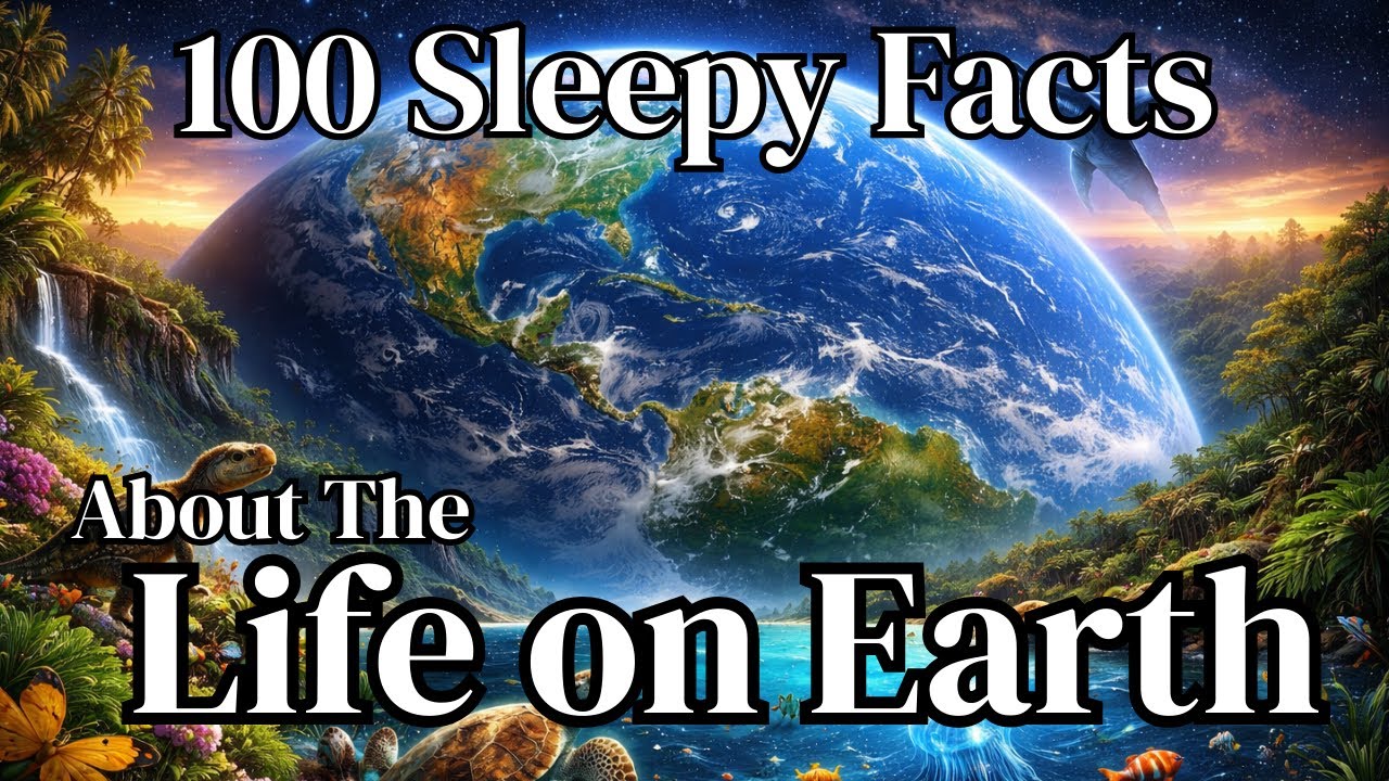 The Most Relaxing Facts About Life on Earth to Fall Asleep To | Sleepy science stories