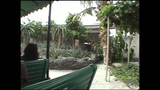 Pure Retro Epcot Magic! 🌾 Living with the Land 2008 Full Boat Ride POV