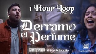 Derramo el Perfume : Montesanto 1 Hour Loop