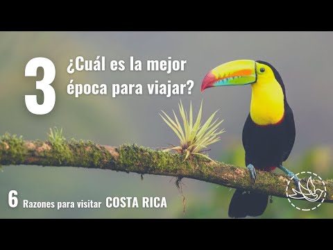 Video: La mejor época para visitar Costa Rica