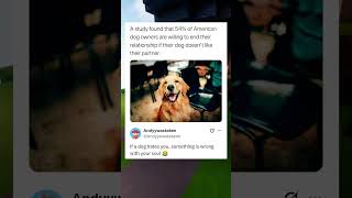 A study found that 54% of American dog owners are willing to end their relationship if their dog