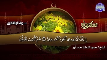 سورة المنافقون كاملة القارئ محمود الشحات أنور قناة المجد