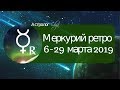 ЭХО ПРОШЛОГО или ПЕРИОД ЯСНОСТИ - Меркурий ретро 6-29 марта 2019 Астролог Olga
