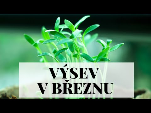 Video: Jaké Květiny A Kdy Zasít V Březnu