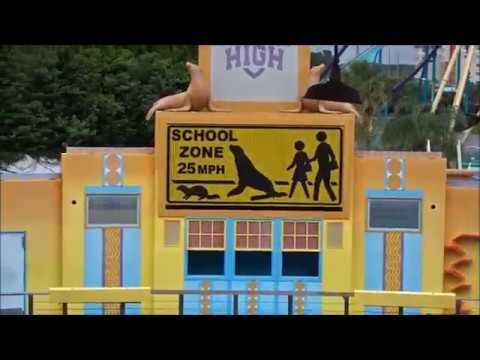 2018 Sea Lion High