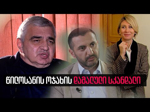 ნინო წილოსანის ოჯახის დამალული სკანდალი - რა აკავშირებს ოცნების დეპუტატს, 65 მილიონის მოპარავასთან