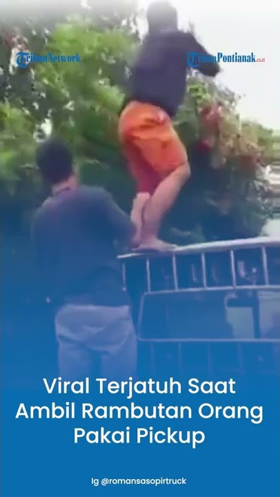 Viral Terjatuh Saat Ambil Rambutan Orang Pakai Pickup #shorts #jatuhdaripickup