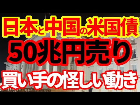 【米国債暴落】中国と日本が米国債を50兆円売却！買ったのは誰なのか！データから見えてきた影の動きについて解説！