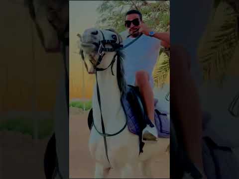 صعايدة يارسول الله واكتب اسم بلدك احنا الصعايدة مبنخافش البرنس رضا بعون الله نجاح